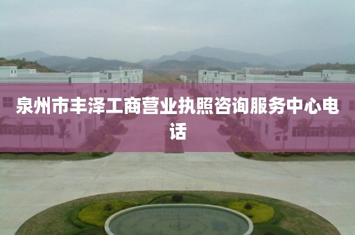 泉州市丰泽工商营业执照咨询服务中心电话