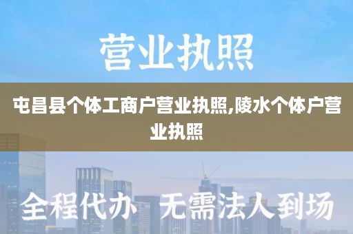 屯昌县个体工商户营业执照,陵水个体户营业执照