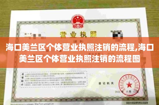 海口美兰区个体营业执照注销的流程,海口美兰区个体营业执照注销的流程图