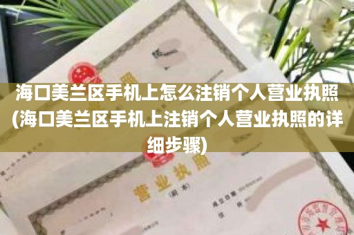 海口美兰区手机上怎么注销个人营业执照(海口美兰区手机上注销个人营业执照的详细步骤)