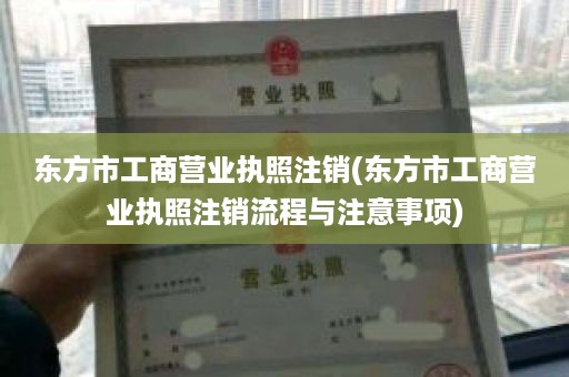 东方市工商营业执照注销(东方市工商营业执照注销流程与注意事项)