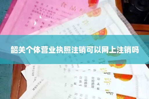 韶关个体营业执照注销可以网上注销吗