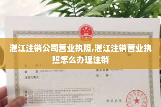 湛江注销公司营业执照,湛江注销营业执照怎么办理注销