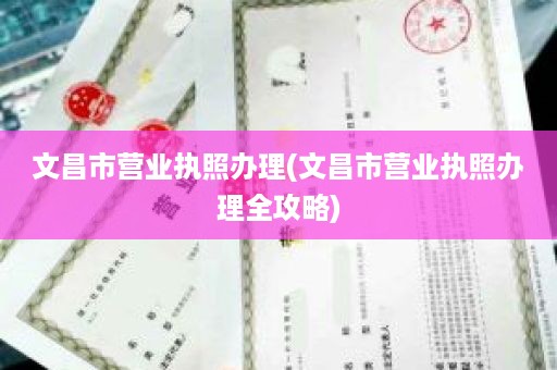 文昌市营业执照办理(文昌市营业执照办理全攻略)
