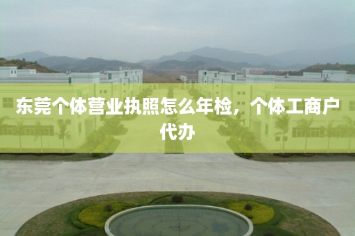 东莞个体营业执照怎么年检，个体工商户代办
