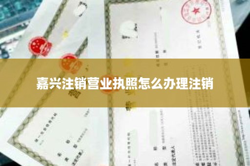 嘉兴注销营业执照怎么办理注销