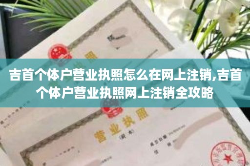 吉首个体户营业执照怎么在网上注销,吉首个体户营业执照网上注销全攻略
