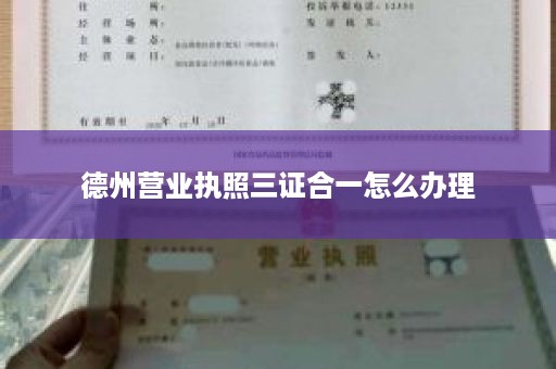 德州营业执照三证合一怎么办理