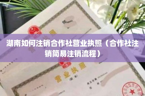 湖南如何注销合作社营业执照（合作社注销简易注销流程）