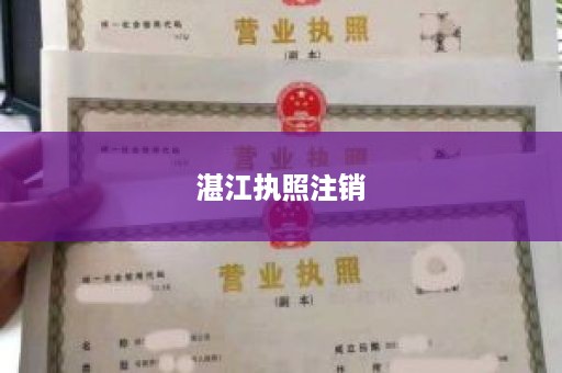 湛江执照注销