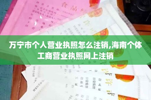 万宁市个人营业执照怎么注销,海南个体工商营业执照网上注销