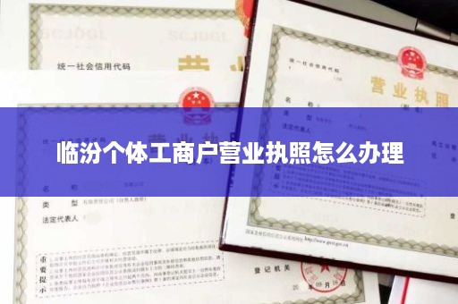 临汾个体工商户营业执照怎么办理