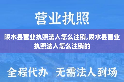 陵水县营业执照法人怎么注销,陵水县营业执照法人怎么注销的