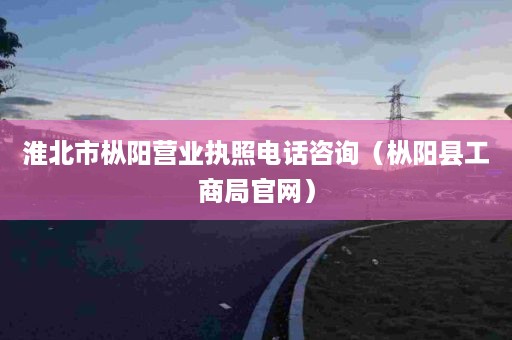 淮北市枞阳营业执照电话咨询（枞阳县工商局官网）