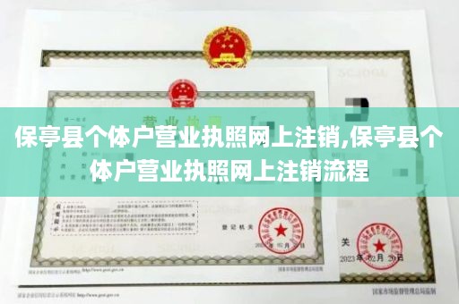 保亭县个体户营业执照网上注销,保亭县个体户营业执照网上注销流程