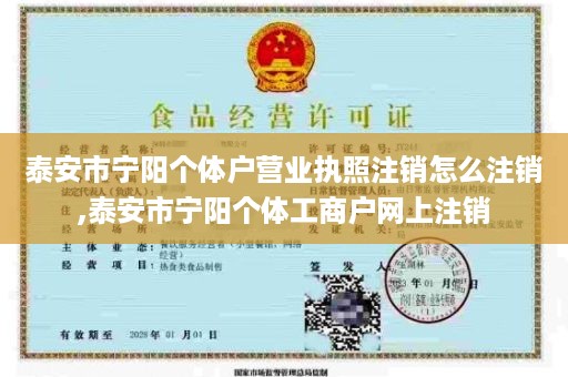 泰安市宁阳个体户营业执照注销怎么注销,泰安市宁阳个体工商户网上注销