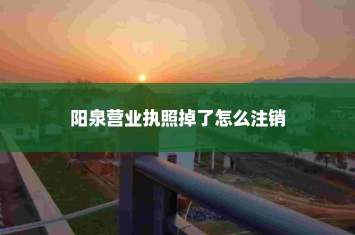 阳泉营业执照掉了怎么注销