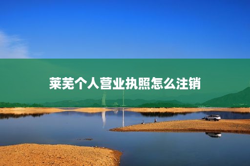 莱芜个人营业执照怎么注销
