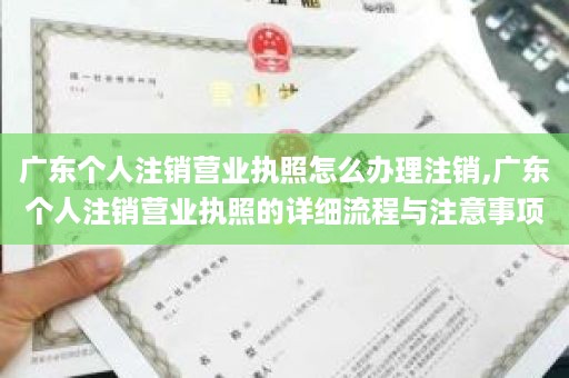 广东个人注销营业执照怎么办理注销,广东个人注销营业执照的详细流程与注意事项