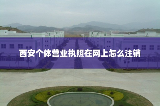 西安个体营业执照在网上怎么注销