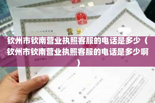 钦州市钦南营业执照客服的电话是多少（钦州市钦南营业执照客服的电话是多少啊）