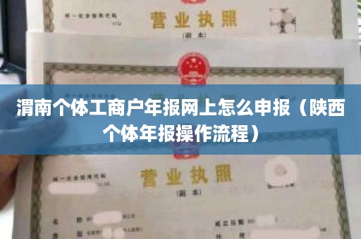 渭南个体工商户年报网上怎么申报（陕西个体年报操作流程）