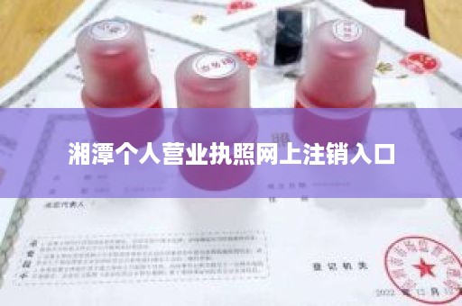 湘潭个人营业执照网上注销入口
