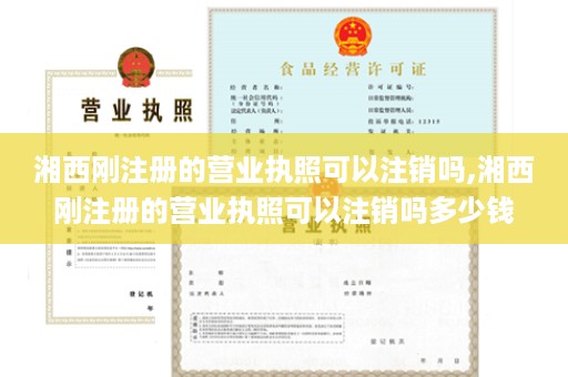 湘西刚注册的营业执照可以注销吗,湘西刚注册的营业执照可以注销吗多少钱