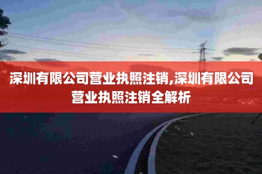 深圳有限公司营业执照注销,深圳有限公司营业执照注销全解析
