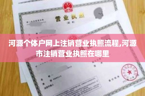 河源个体户网上注销营业执照流程,河源市注销营业执照在哪里