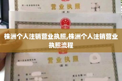 株洲个人注销营业执照,株洲个人注销营业执照流程