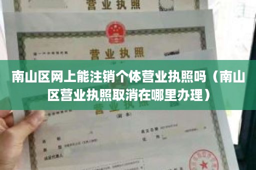 南山区网上能注销个体营业执照吗（南山区营业执照取消在哪里办理）
