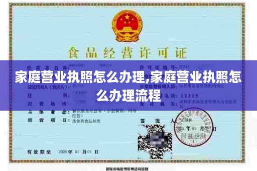 家庭营业执照怎么办理,家庭营业执照怎么办理流程