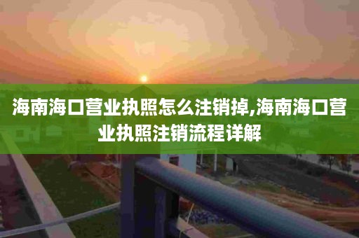 海南海口营业执照怎么注销掉,海南海口营业执照注销流程详解
