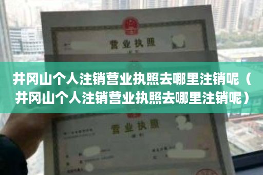 井冈山个人注销营业执照去哪里注销呢（井冈山个人注销营业执照去哪里注销呢）