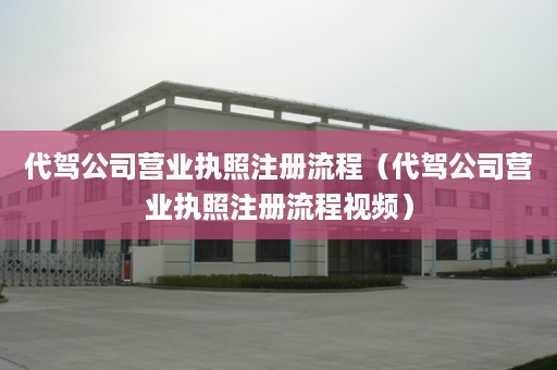 代驾公司营业执照注册流程（代驾公司营业执照注册流程视频）