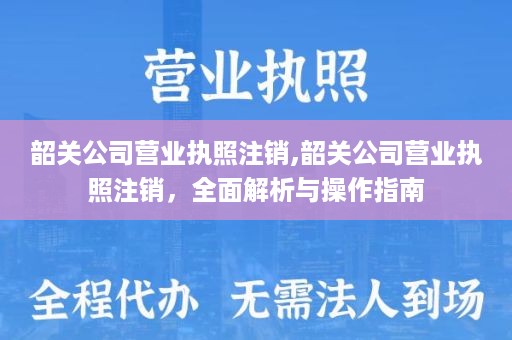韶关公司营业执照注销,韶关公司营业执照注销，全面解析与操作指南