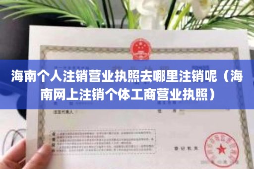 海南个人注销营业执照去哪里注销呢（海南网上注销个体工商营业执照）