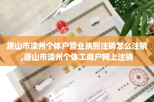 唐山市滦州个体户营业执照注销怎么注销,唐山市滦州个体工商户网上注销