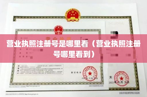 营业执照注册号是哪里看（营业执照注册号哪里看到）