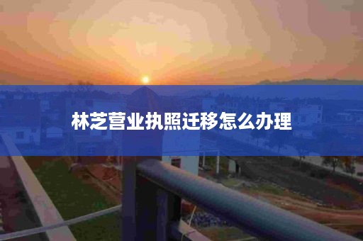 林芝营业执照迁移怎么办理