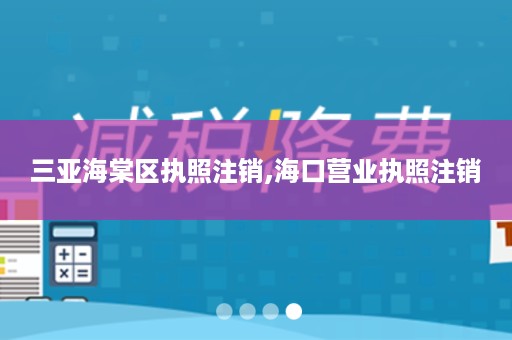 三亚海棠区执照注销,海口营业执照注销