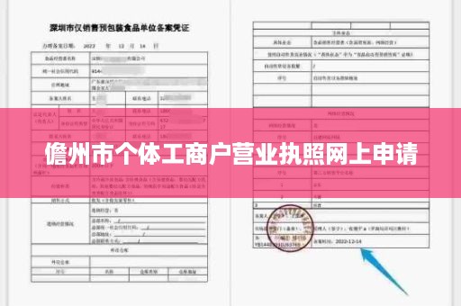 儋州市个体工商户营业执照网上申请