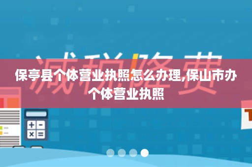 保亭县个体营业执照怎么办理,保山市办个体营业执照