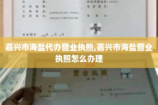 嘉兴市海盐代办营业执照,嘉兴市海盐营业执照怎么办理