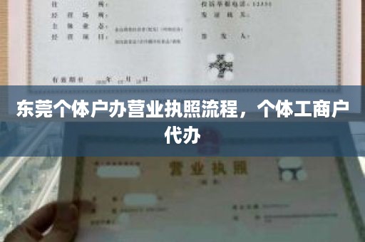 东莞个体户办营业执照流程，个体工商户代办