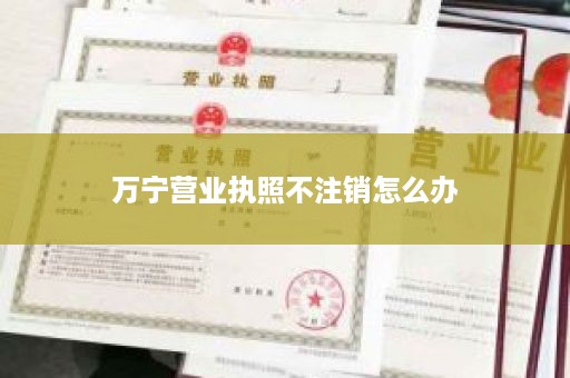 万宁营业执照不注销怎么办