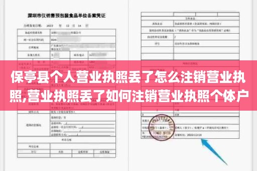保亭县个人营业执照丢了怎么注销营业执照,营业执照丢了如何注销营业执照个体户