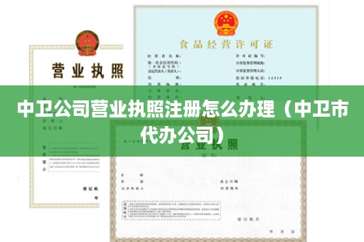 中卫公司营业执照注册怎么办理（中卫市代办公司）