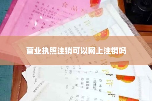 营业执照注销可以网上注销吗